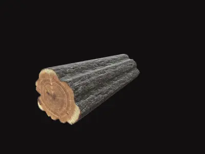 Medieval Log V02 Low-poly 3D model