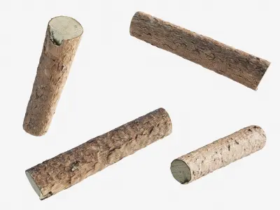 Scanned coniferous firewood  Low-poly 3D model
