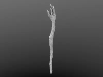 Magic Wand High Poly model 3D model