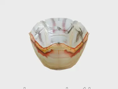 Vibrant Giant Clam Shell Model with Detailed Texture Low-poly 3D model