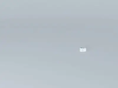 nataliorkut bird in sky on foggy day Free 3D model