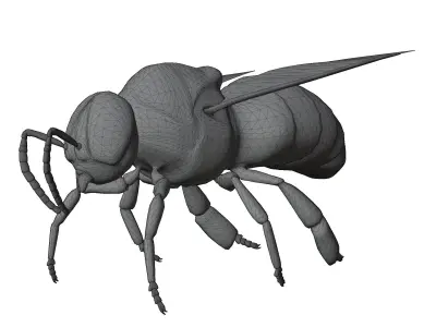 Animated bee Low-poly 3D model get