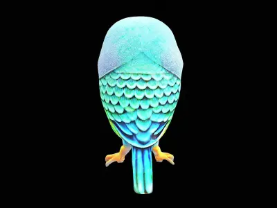 cute little parakeet bird 3D model