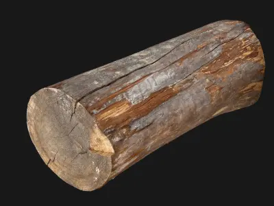 Tree trunk wood 3d scan highpoly 3D model by Shutters
