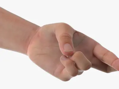 Human Arm Set with Fingers Crossed 3D model