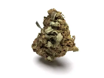 Cannabis Bud 02 3D model