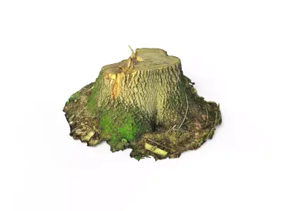 Forest Tree Stump 4K -Part 3-  Free low-poly 3D model