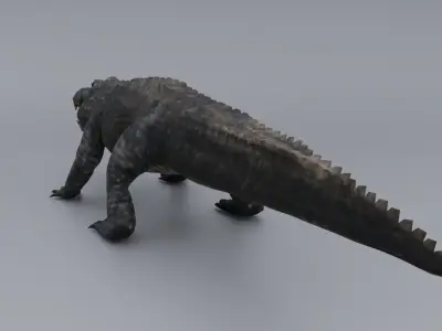 Alligator Low-poly 3D model