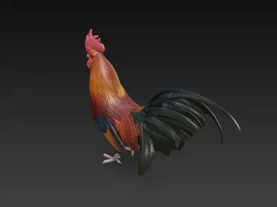 Black Rooster 3D Model Basic - Low Poly Simple Low-poly 3D model