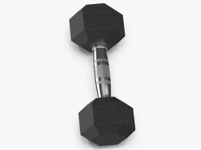 Rubber Dumbbell 8kg 3D model