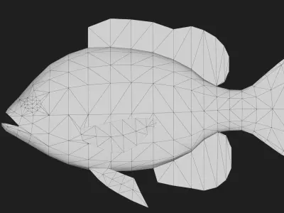 Panfish Low-poly 3D model 2