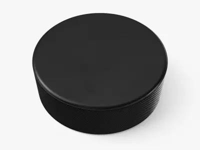 Hockey Puck 3D model buy