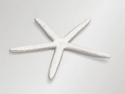 Finger Starfish Low-poly 3D model
