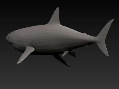 base shark Low-poly 3D model