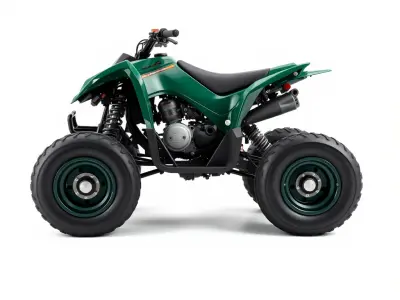 Forest Green Quad Bike with Aerodynamic Frame model pack Low-poly 3D model
