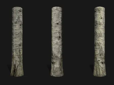 Sweet cherry bark PBR tiled textures 8K 3D model