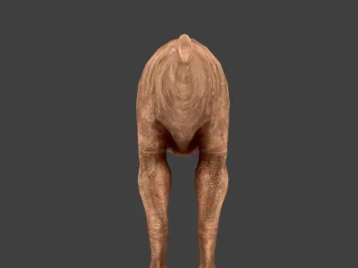 T-Rex Low-poly 3D model buy