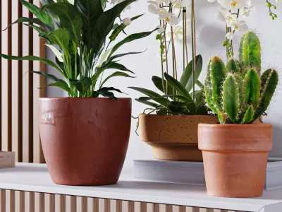  Rimmed Terracotta Clay Pot Models 