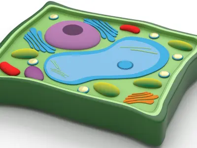 Plant Cell v3 3D model