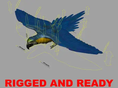  Ara Ararauna 'Blue-and-yellow Macaw Parrot' 