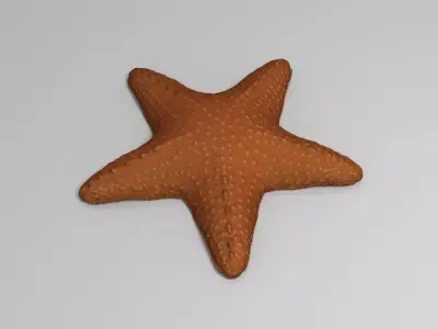 Starfish Low-poly 3D model 3