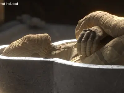Mummy in the Sarcophagus 3D model
