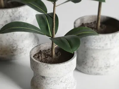 Indoor plant 04 Low-poly 3D model