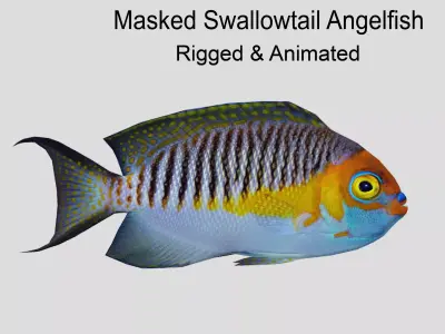 Masked Swallowtail Angelfish Realistic Animated Low-poly 3D model