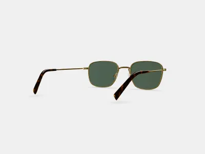 Blount Sunglasses in Polished Gold 3D model purchase