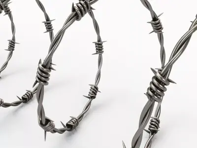 Barbwire 3D model
