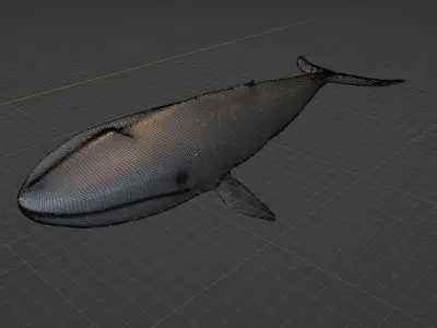 Whale  Low-poly 3D model