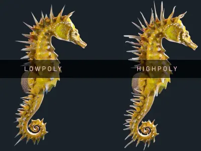 Lowpoly Seahorse Pack Low-poly 3D model
