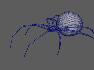 Spider Black Widow 3D model buy