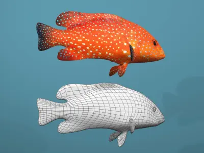 Roving Coral Grouper Low-poly 3D model