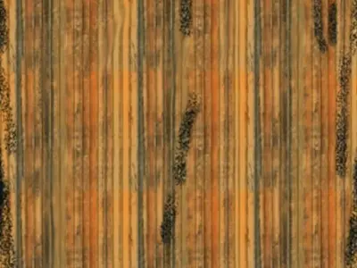 the town - old fashioned way Free 3D model