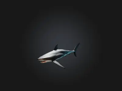 Realistic Shark Model Low-poly 3D model purchase