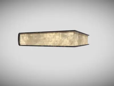 Fantasy Book Low-poly 3D model