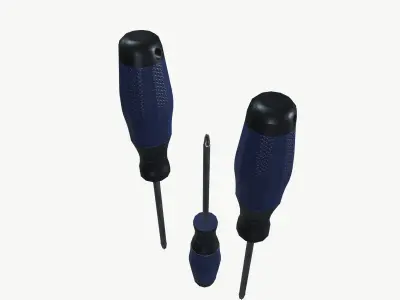 Screw Driver 3D model buy