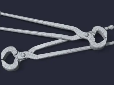 Ticks pincer 3D model