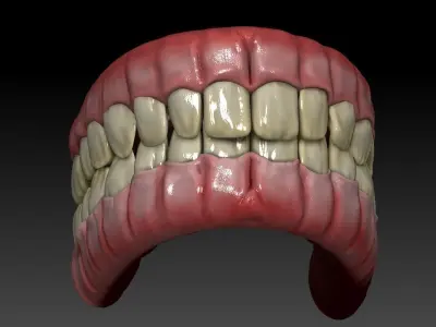 Teeth human mouth with Low-poly 3D model