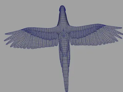 green parrot bird 3d model 3D model