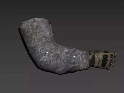 FPS ARMS 3D model