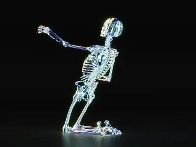 skeleton Free low-poly 3D model purchase