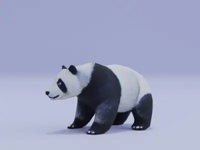 Panda Animal Low High Poly Low-poly 3D model