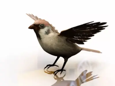 sparrow bird 3d model 3D model