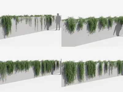 Rosemary Plants (+GrowFX) 3D model