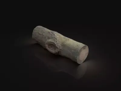Scanned Photogrammetry Wood Log Tree Part Scan AAA NEXT-GEN Free low-poly 3D model