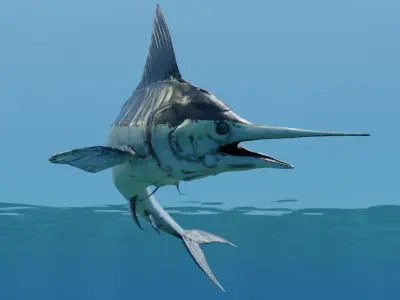 Sword Fish Animated Low-poly 3D model