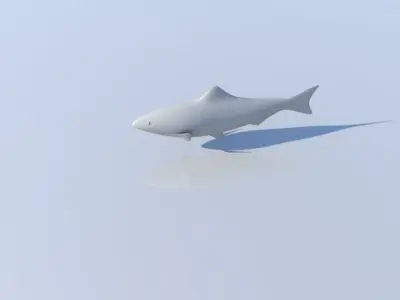 fish low poly shark Low-poly 3D model