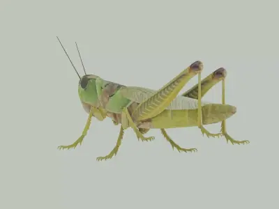 Grasshopper 3D model 2